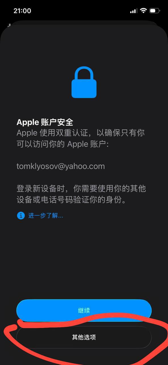 示例图片